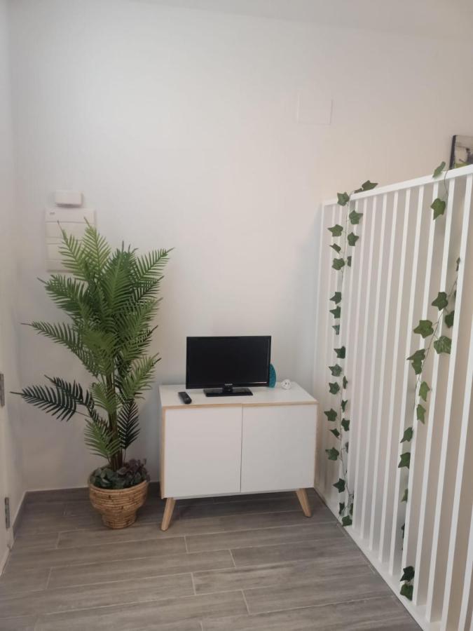 Estudio 28 Febrero Tarifa Exterior photo